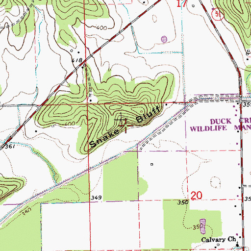 Topographic Map of Snake Bluff, MO