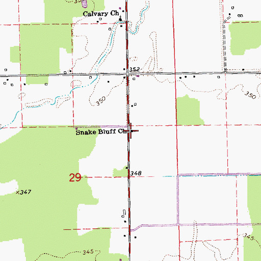 Topographic Map of Snake Bluff Church, MO