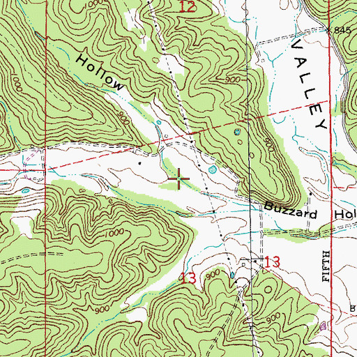 Topographic Map of Snake Den Hollow, MO