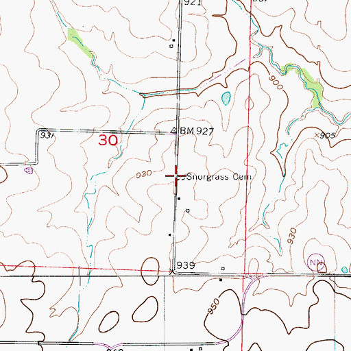 Topographic Map of Snorgrass Cemetery, MO