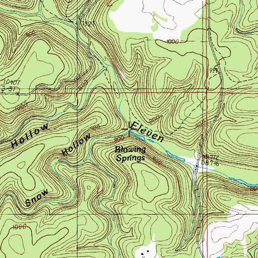 Topographic Map of Snow Hollow, MO