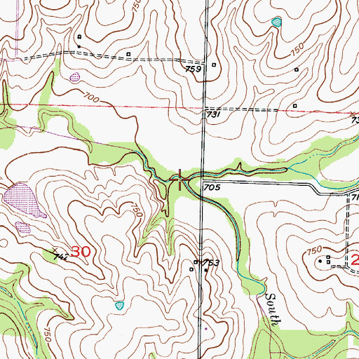 Topographic Map of South Branch, MO