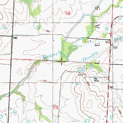 Topographic Map of South Double Branch, MO