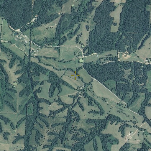 Aerial/Satellite Image of South Fork Beeman Branch, MO