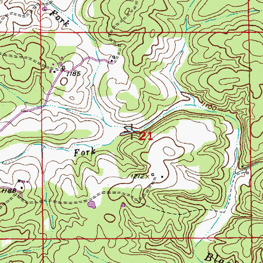 Topographic Map of South Fork Black Valley Creek, MO