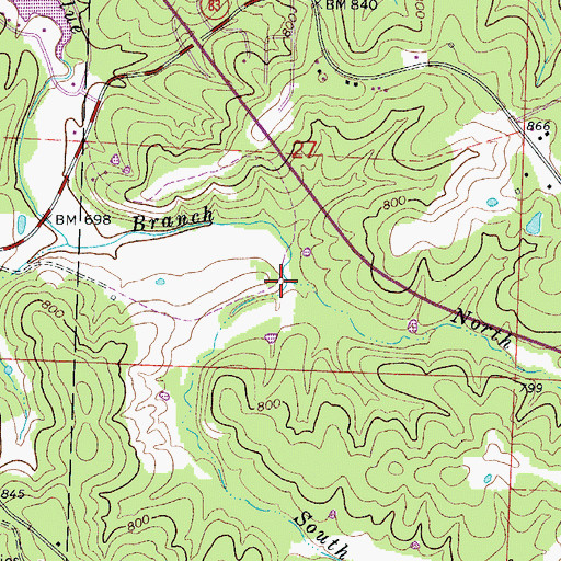 Topographic Map of South Fork Blue Branch, MO