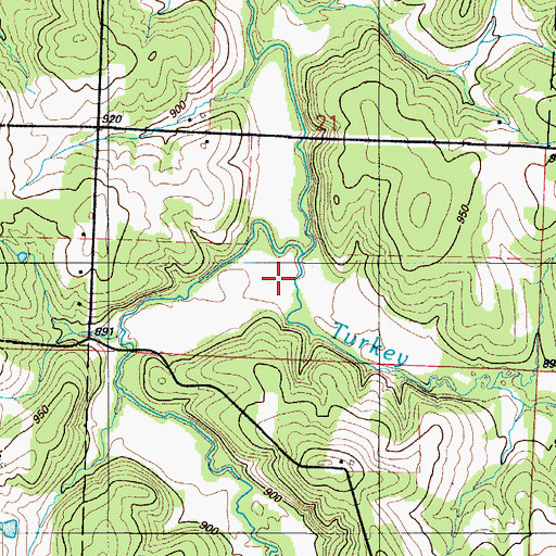 Topographic Map of South Fork Turkey Creek, MO