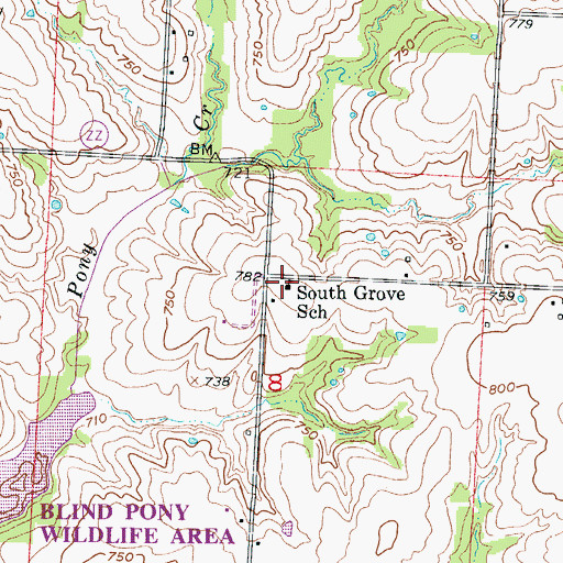 Topographic Map of South Grove School (historical), MO