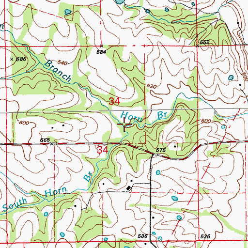 Topographic Map of South Horn Branch, MO