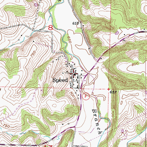 Topographic Map of Speed, MO