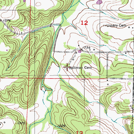 Topographic Map of Spillman Cemetery, MO