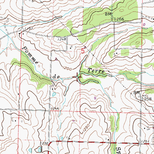 Topographic Map of Spring Creek, MO