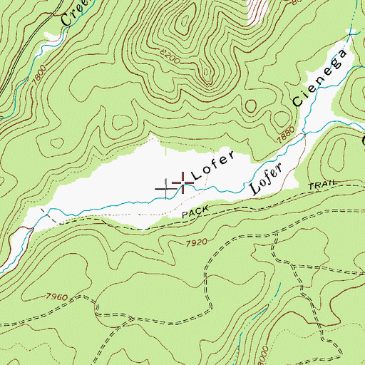Topographic Map of Lofer Cienega, AZ