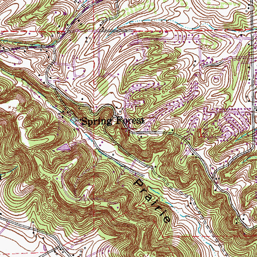 Topographic Map of Spring Forest, MO