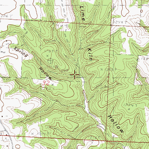 Topographic Map of Spring Hollow, MO