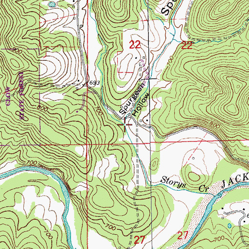 Topographic Map of Spurgeon Hollow, MO