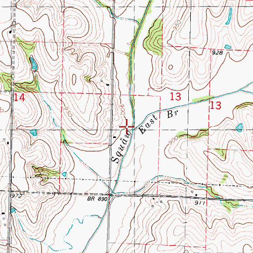 Topographic Map of East Branch Squaw Creek, MO