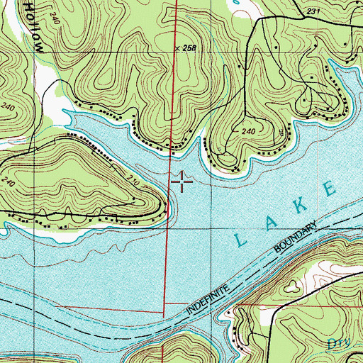 Topographic Map of Staley Hollow, MO