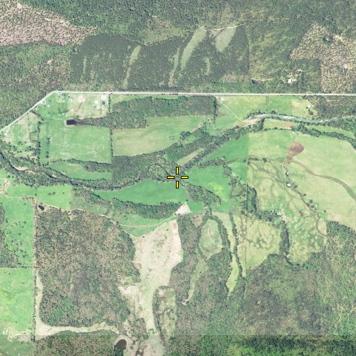 Aerial/Satellite Image of Mitchell Creek, AR