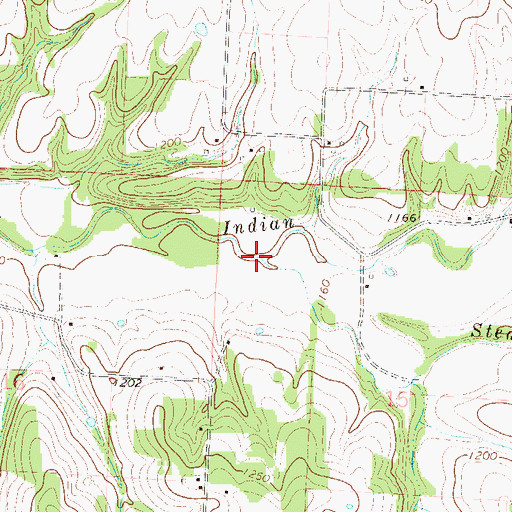 Topographic Map of Stedman Branch, MO