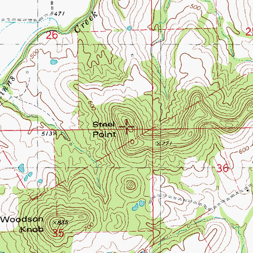 Topographic Map of Steel Point, MO