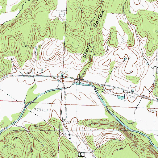 Topographic Map of Steep Hollow, MO