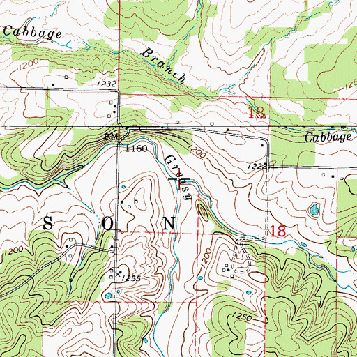 Topographic Map of Stever Branch, MO