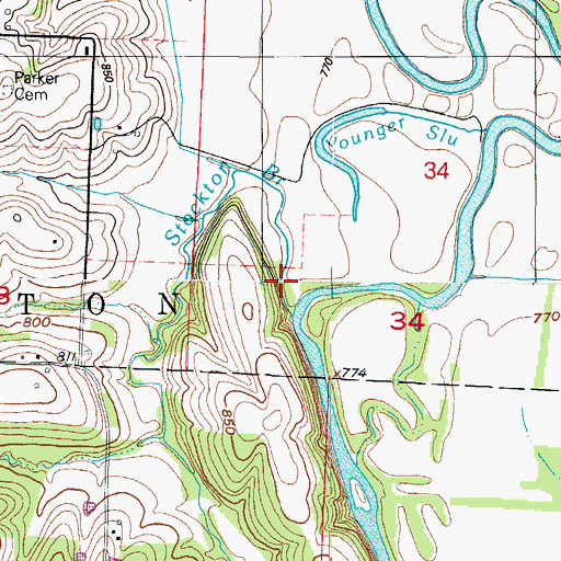 Topographic Map of Stockton Branch, MO