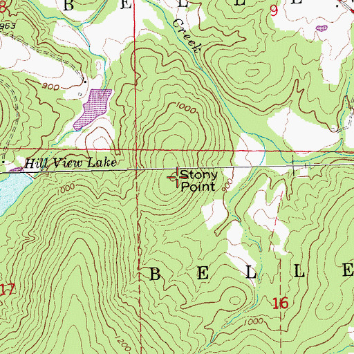 Topographic Map of Stony Point, MO