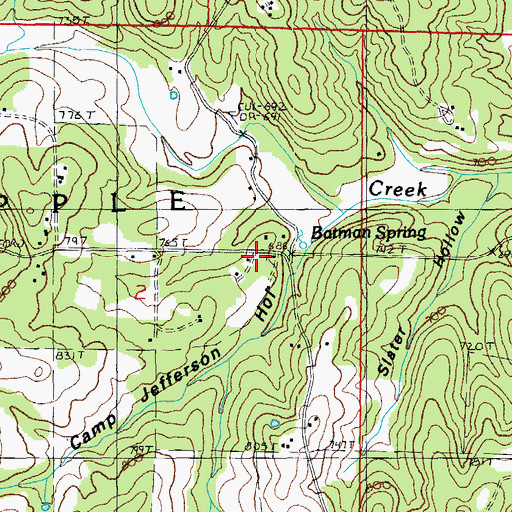 Topographic Map of Stony Point Church, MO