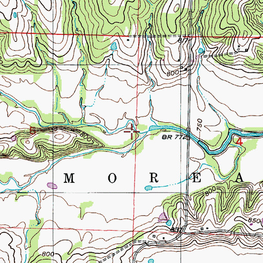 Topographic Map of Straight Fork, MO