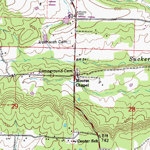 Topographic Map of Moores Chapel, AR