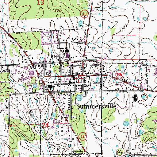 Topographic Map of Summersville, MO