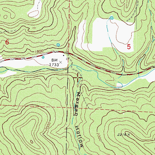Topographic Map of Morgan Hollow, AR
