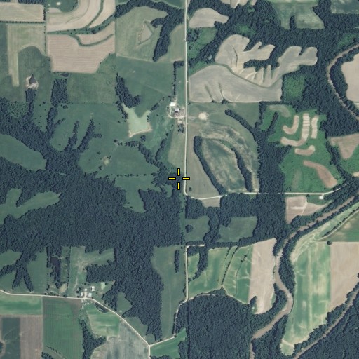 Aerial/Satellite Image of Sunnyside School, MO