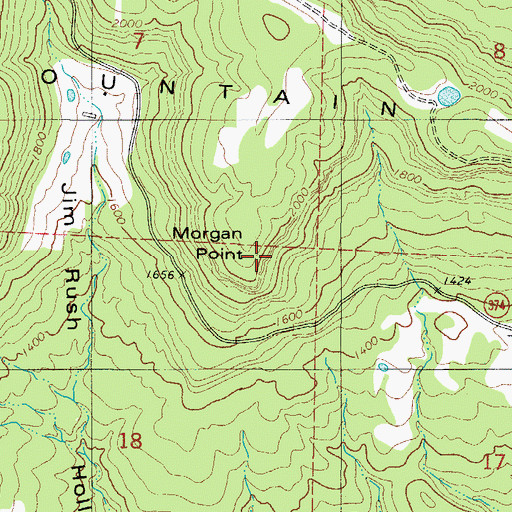 Topographic Map of Morgan Point, AR