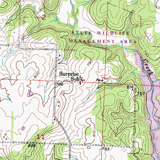 Topographic Map of Surprise School (historical), MO