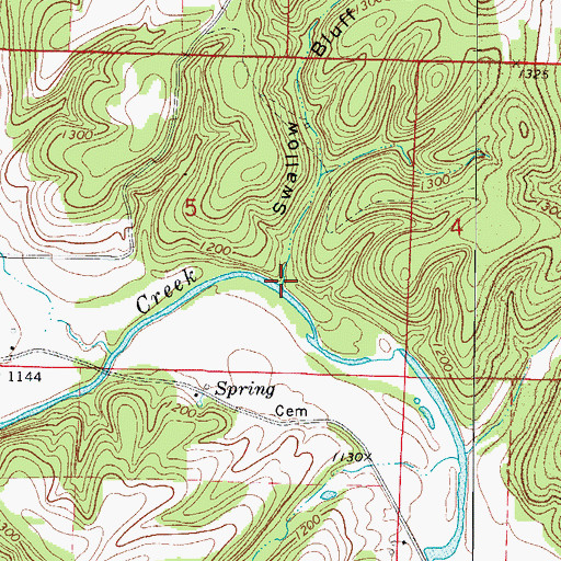 Topographic Map of Swallow Bluff Hollow, MO