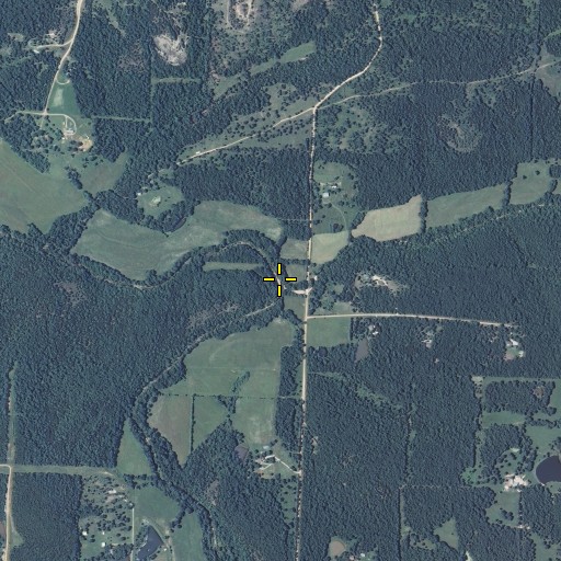 Aerial/Satellite Image of Swede Branch, MO