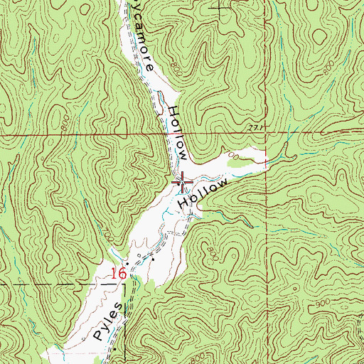 Topographic Map of Sycamore Hollow, MO