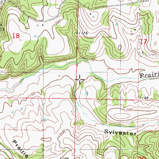 Topographic Map of Sylvester Hollow, MO
