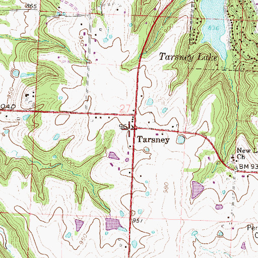 Topographic Map of Tarsney, MO