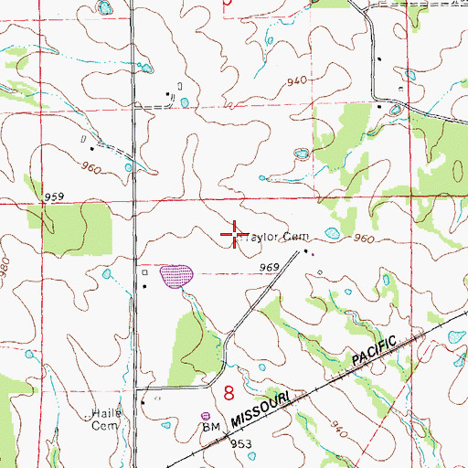 Topographic Map of Taylor Cemetery, MO