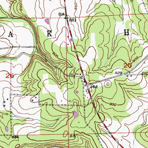 Topographic Map of Taylor School, MO