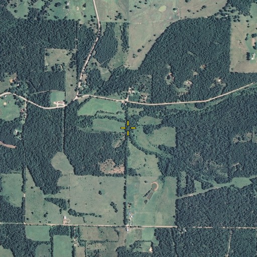 Aerial/Satellite Image of Taylor Spring, MO