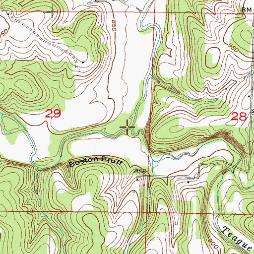 Topographic Map of Teague Branch, MO