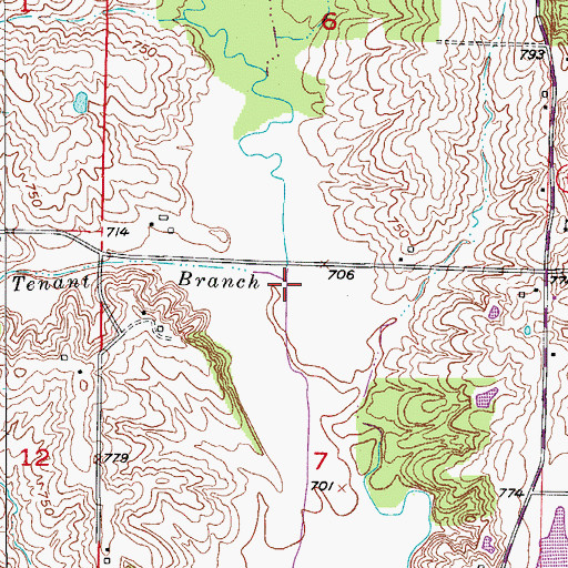 Topographic Map of Tenant Branch, MO