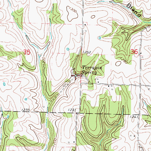 Topographic Map of Terrapin Spring, MO