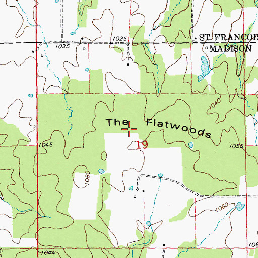 Topographic Map of The Flatwoods, MO
