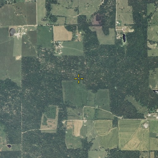 Aerial/Satellite Image of The Flatwoods, MO